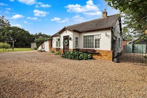 Front Shot- click for photo gallery